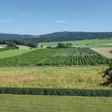 Cozy In Medebach-duedinghausen *