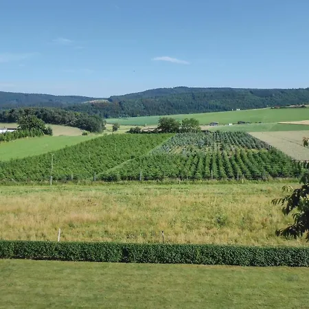 Pet Friendly In Medebach-duedinghausen *