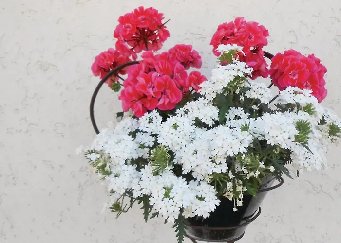 Cozy In Medebach-duedinghausen Appartement Medebach