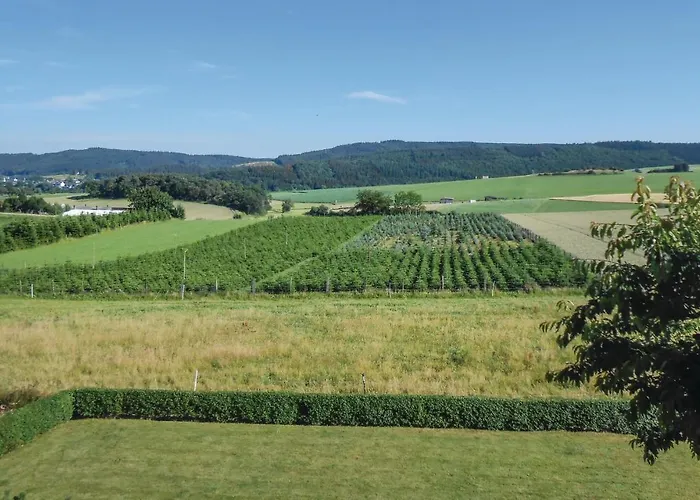 Cozy In Medebach-duedinghausen *